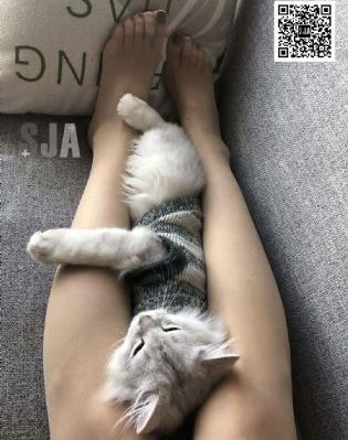 午夜骚片_国产剧在线播放观看