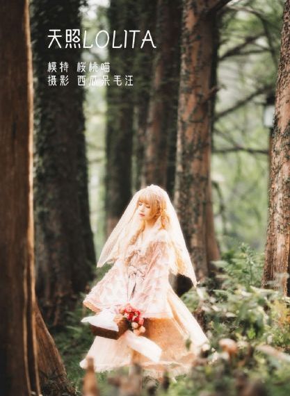 一级视频试看_蓝光免费在线观看